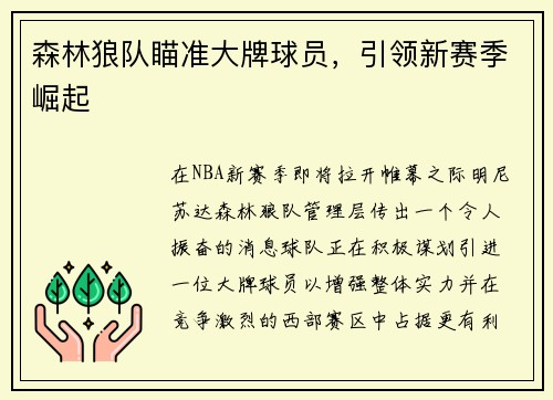 森林狼队瞄准大牌球员，引领新赛季崛起