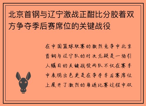 北京首钢与辽宁激战正酣比分胶着双方争夺季后赛席位的关键战役