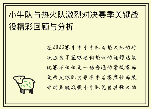 小牛队与热火队激烈对决赛季关键战役精彩回顾与分析