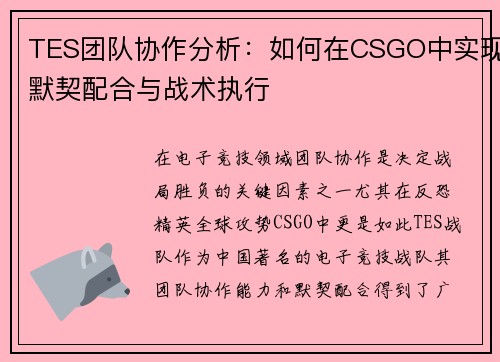 TES团队协作分析：如何在CSGO中实现默契配合与战术执行