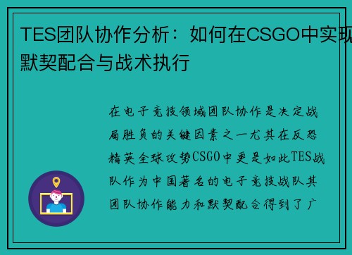 TES团队协作分析：如何在CSGO中实现默契配合与战术执行